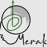 Merak Institute