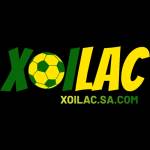 trực tiếp bóng đá