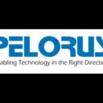 Pelorus India