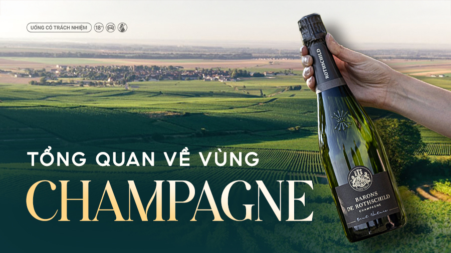 Khám Phá Dòng Vang Sủi Nổi Tiếng Nước Pháp Champagne - Phần 1: Tổng Quan Về Vùng Champagne | WINECELLAR.vn