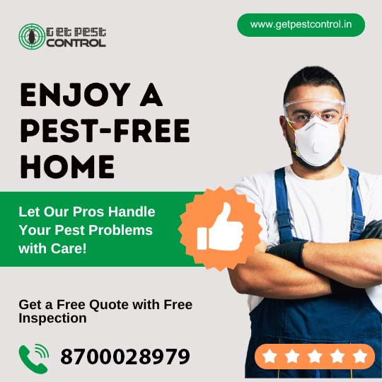 Best Pest Control in Noida | Affordable Services Near You