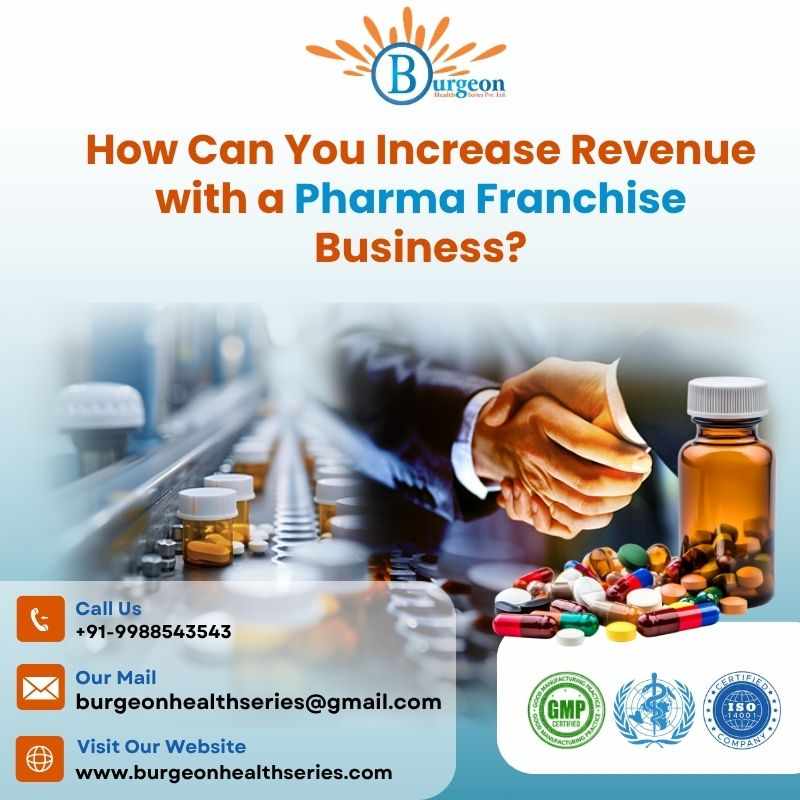 How Can You Increase Revenue with a Pharma Franchise Business?