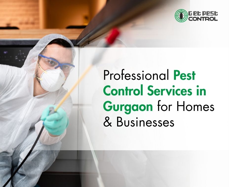 Pest Control in Gurgaon: Safe & Effective Pest Solutions