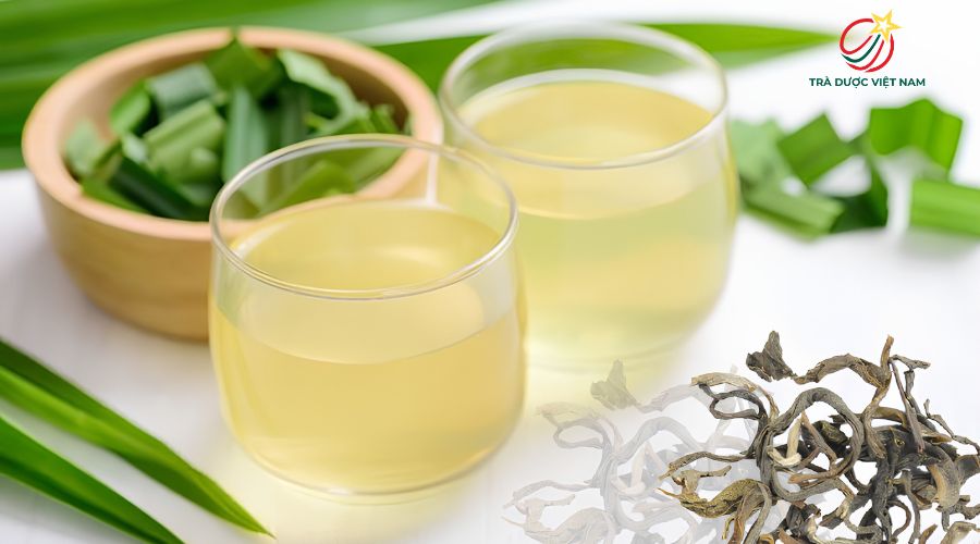 Trà sâm dứa là trà gì? Uống trà sâm dứa có mất ngủ không?