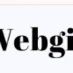 webgiginfo services