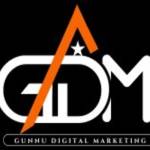 gunnu digital
