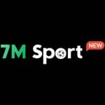 7M Tours