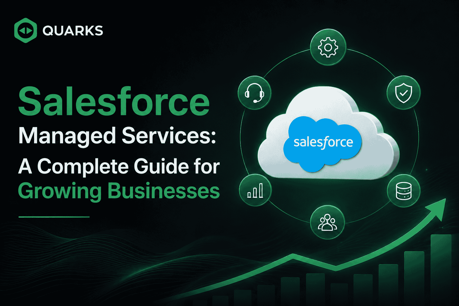 Salesforce Managed Services Guide for Growing Businesses : Quarks Technosoft