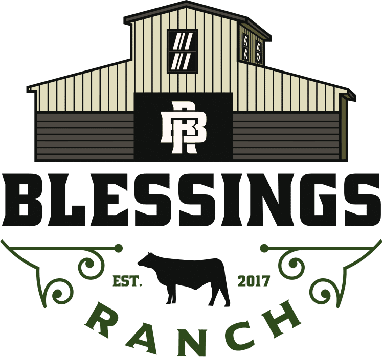 Pint Jar honey - Blessings Ranch