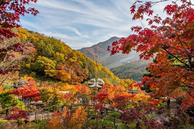 5 điểm ngắm mùa thu Hàn Quốc mới gần Seoul, Hàn Quốc