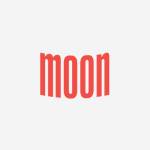 Themoon Store