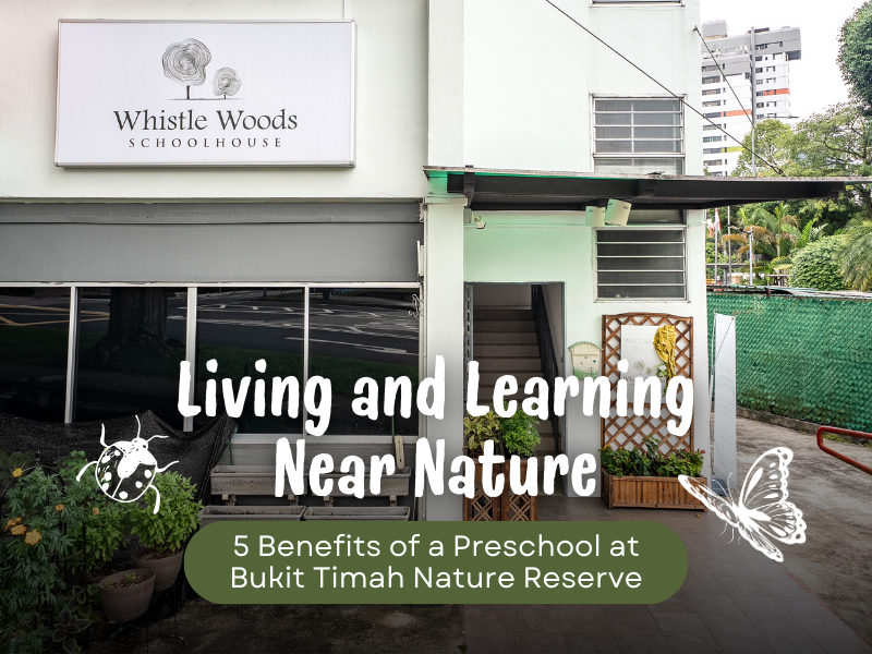 Living and Learning Near Nature: 5 Benefits of a Preschool at Bukit Timah Nature Reserve – WHISTLE WOODS SCHOOLHOUSE