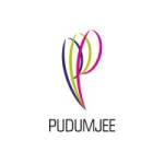 Pudumjee paper product ltd