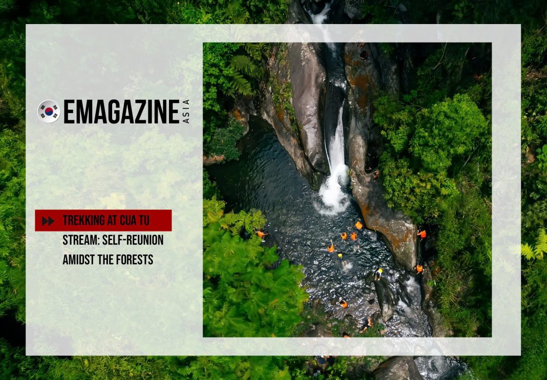 Trekking at Cua Tu Stream: Self-reunion amidst the forests