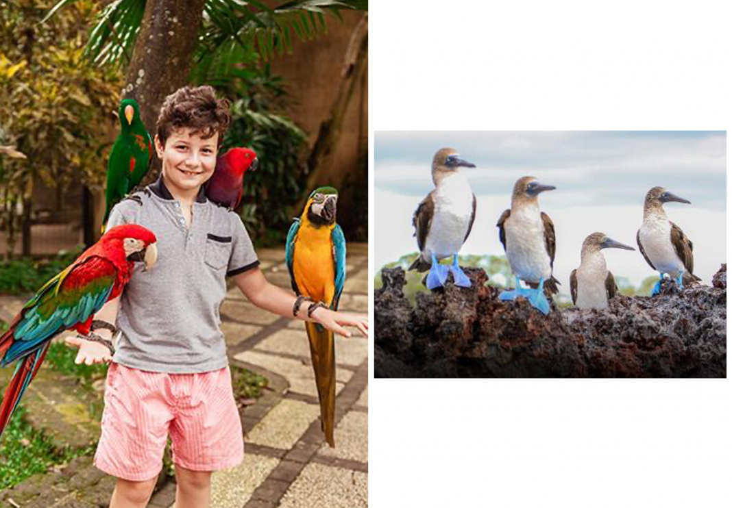 Inside the Appeal of What It Means For A Family To Travel Across All Seven Continents