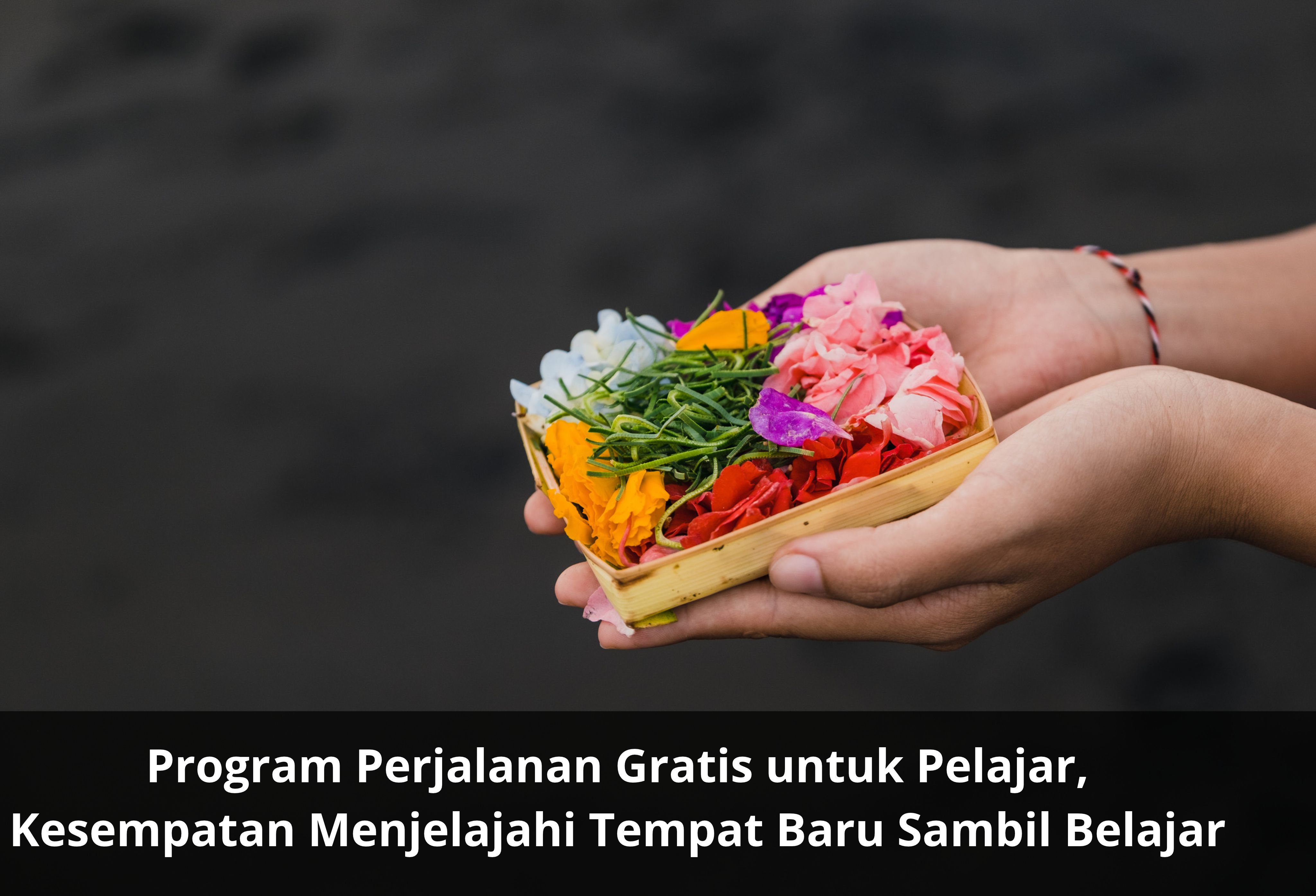 Program Perjalanan Gratis untuk Pelajar, Kesempatan Menjelajahi Tempat Baru Sambil Belajar