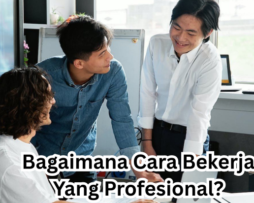 Bagaimana Cara Bekerja Yang Profesional?