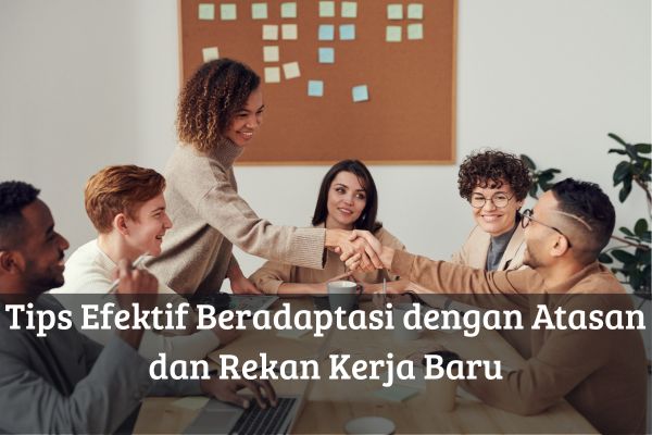Tips Efektif Beradaptasi dengan Atasan dan Rekan Kerja Baru