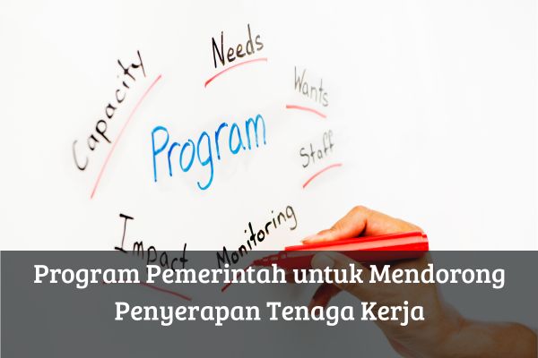 Program Pemerintah untuk Mendorong Penyerapan Tenaga Kerja