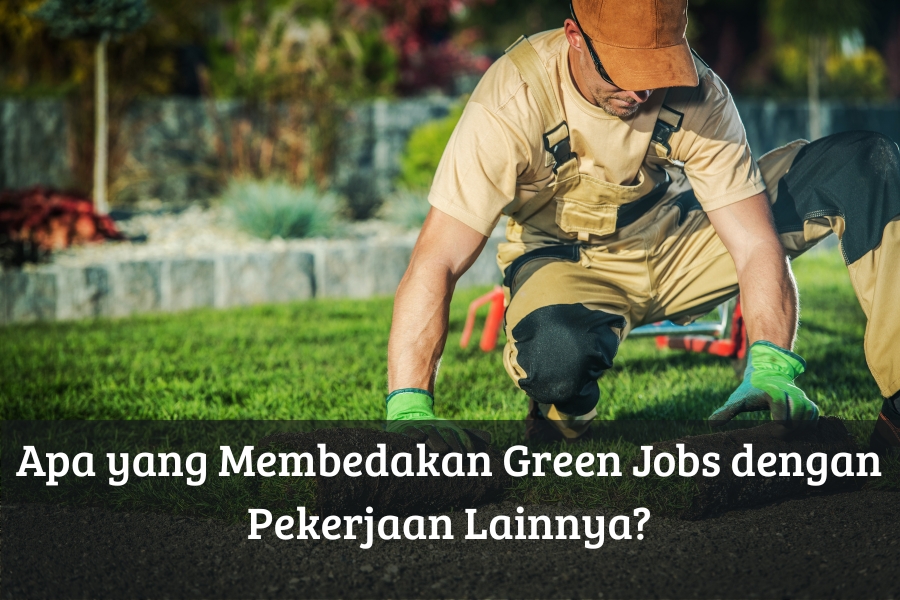 Apa yang Membedakan Green Jobs dengan Pekerjaan Lainnya?