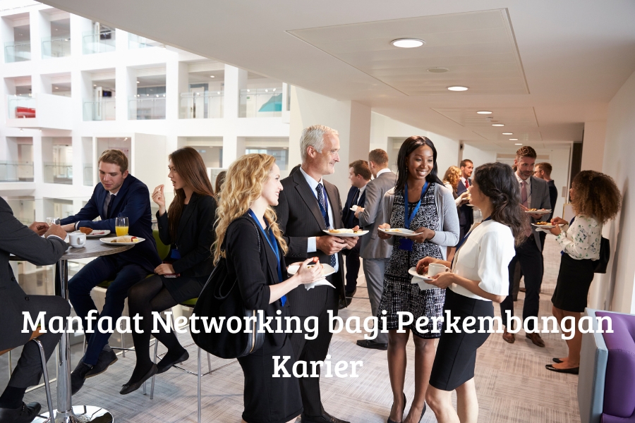 Manfaat Networking bagi Perkembangan Karier