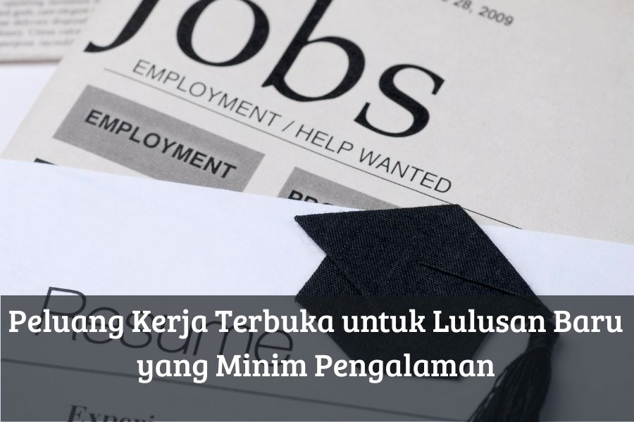 Peluang Kerja Terbuka untuk Lulusan Baru yang Minim Pengalaman
