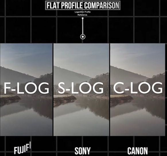 Flat / Log Profile dalam Videogaf
