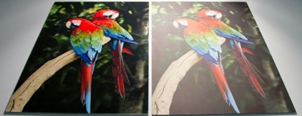 Perbedaan Laminasi Doff Dan Laminasi Glossy