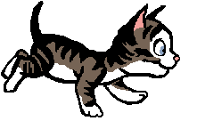 Menggambar Anatomi Kucing untuk dasar Animasi
