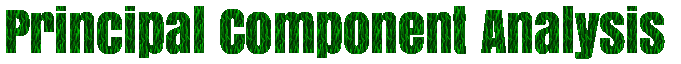 Principal Component Analysis (PCA)
