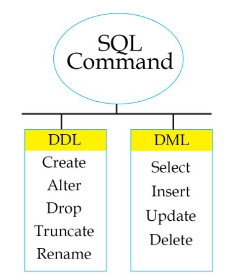 Perbedaan Antara DDL dan DML dalam DBMS