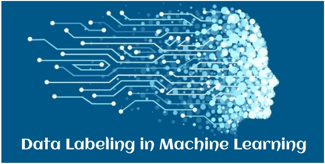 Pelabelan Data dalam Machine Learning