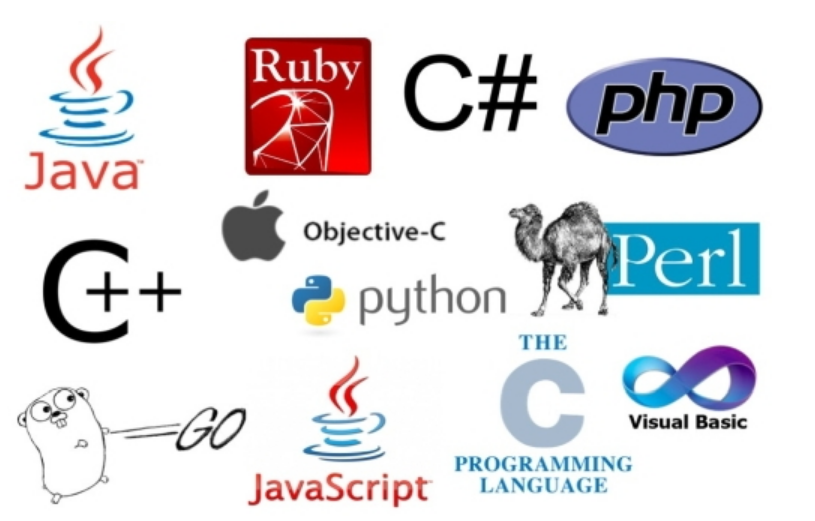 Memahami Konsep Dasar Coding