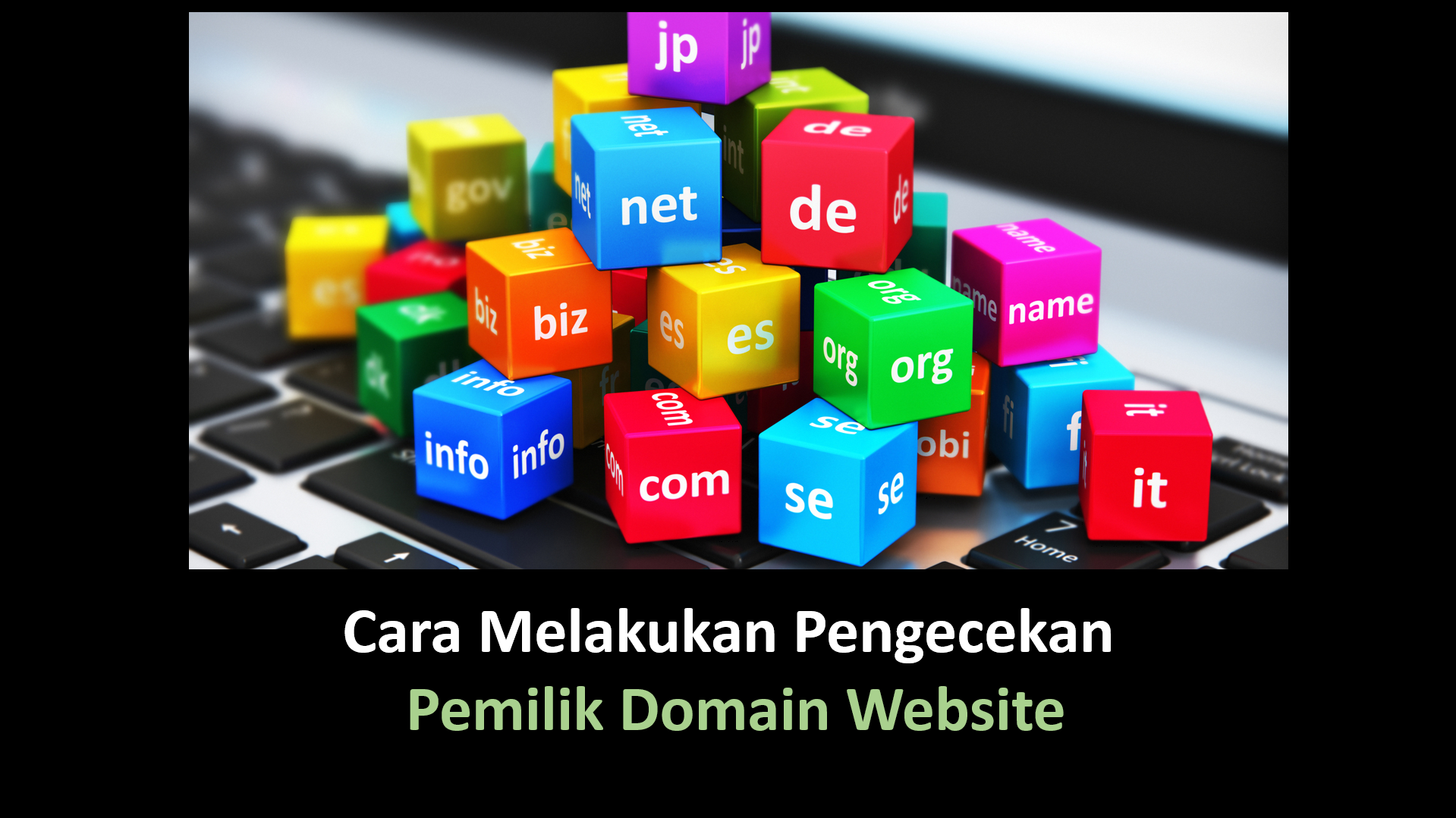 Cara Melakukan Pengecekan  Pemilik Domain Website
