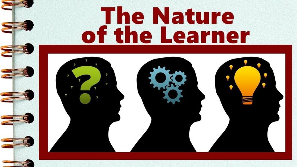 The Nature of Learning
