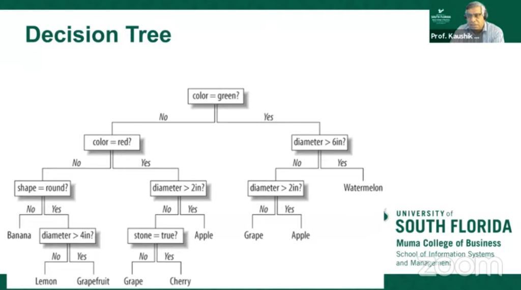 Learning Data-Driven Decisions for Managers in New Style Companies with Professor Dutta from USA Part 5