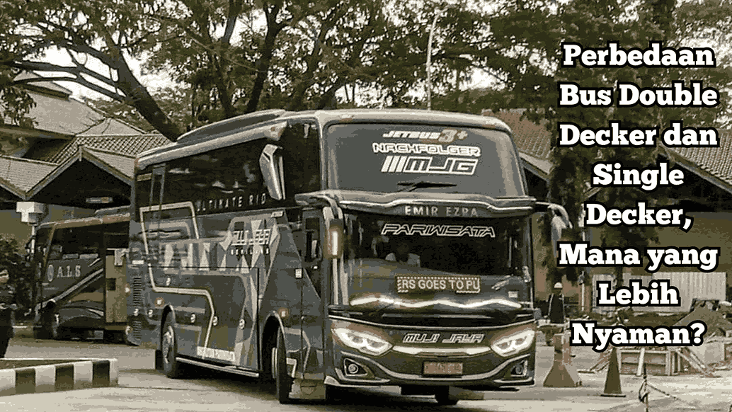 Perbedaan Bus Double Decker dan Single Decker, Mana yang Lebih Nyaman?