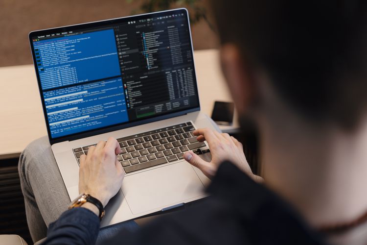 PERANGKAT SUMBER DAYA MANUSIA (BRAINWARE)