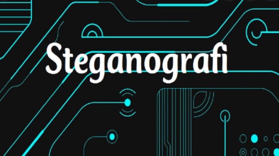 Seni dan Ilmu Menulis Pesan Tersembunyi (Steganografi)
