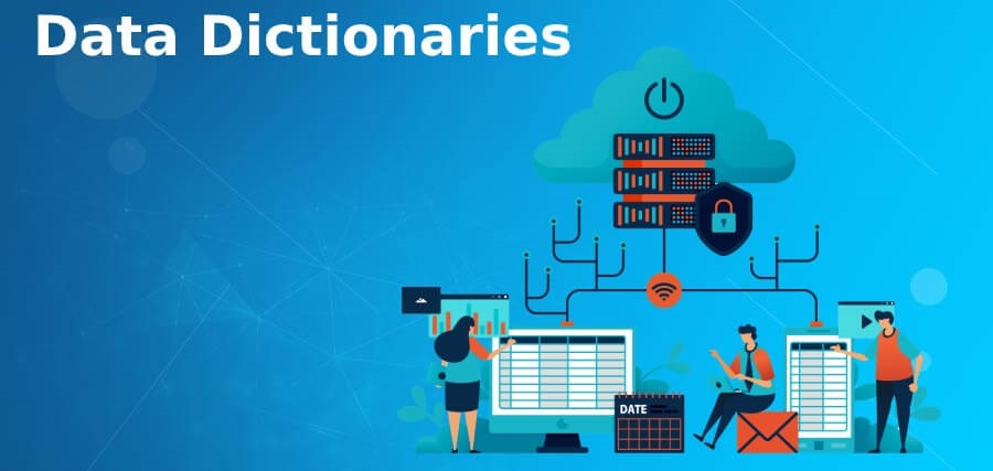 Data Dictionary