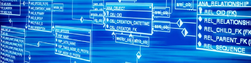 Entity-Relationship Diagrams (ERD)