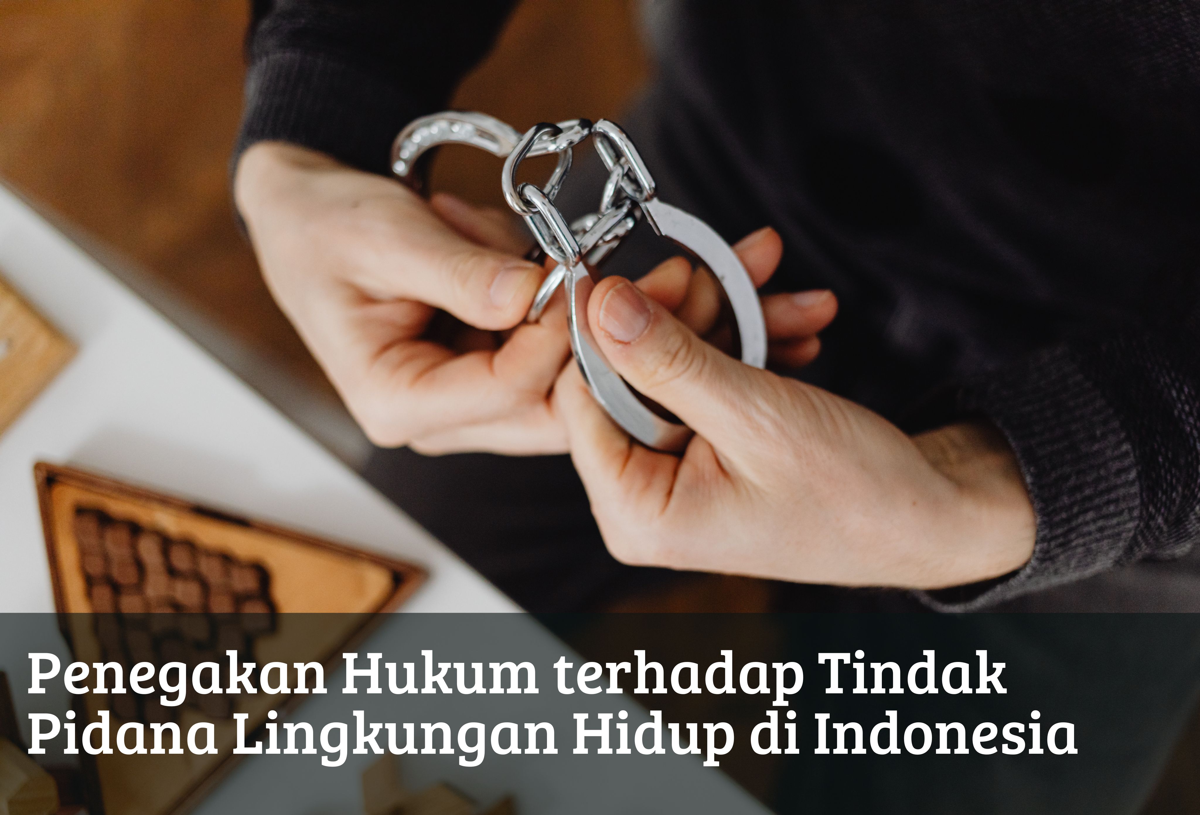 Penegakan Hukum terhadap Tindak Pidana Lingkungan Hidup di Indonesia