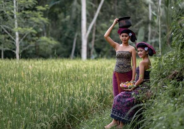 Perbedaan Objek dan Subjek Dalam Fotografi