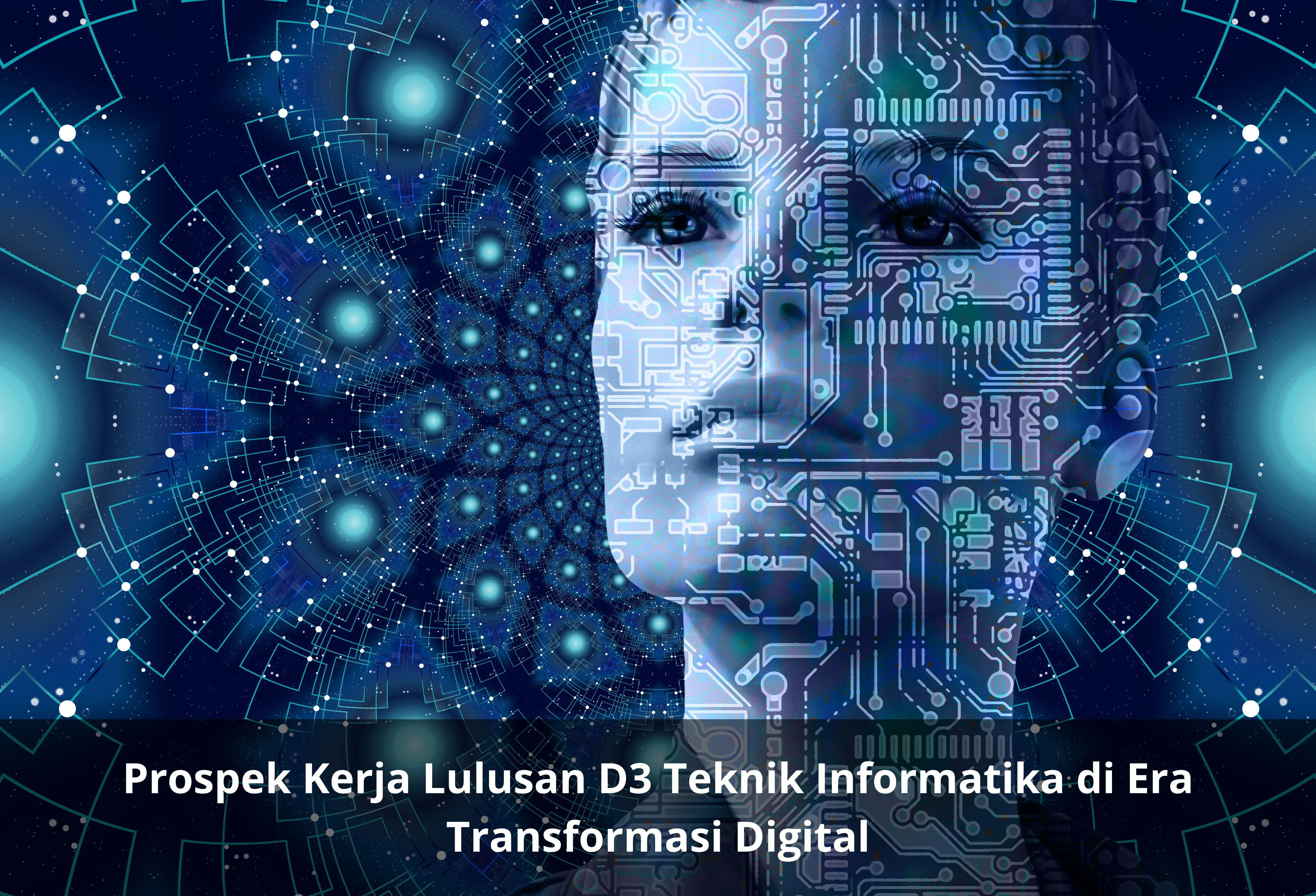 Prospek Kerja Lulusan D3 Teknik Informatika di Era Transformasi Digital
