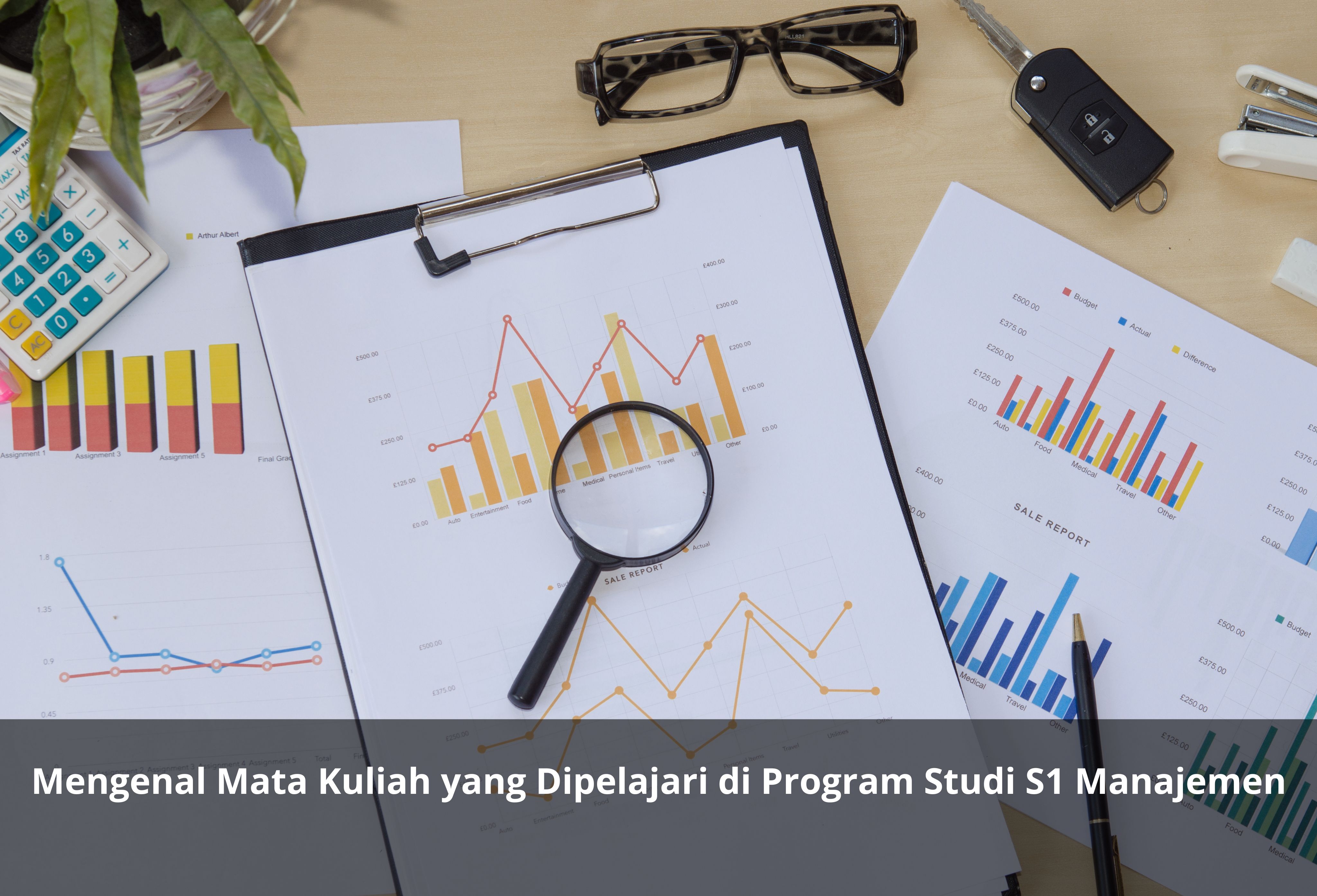 Mengenal Mata Kuliah yang Dipelajari di Program Studi S1 Manajemen