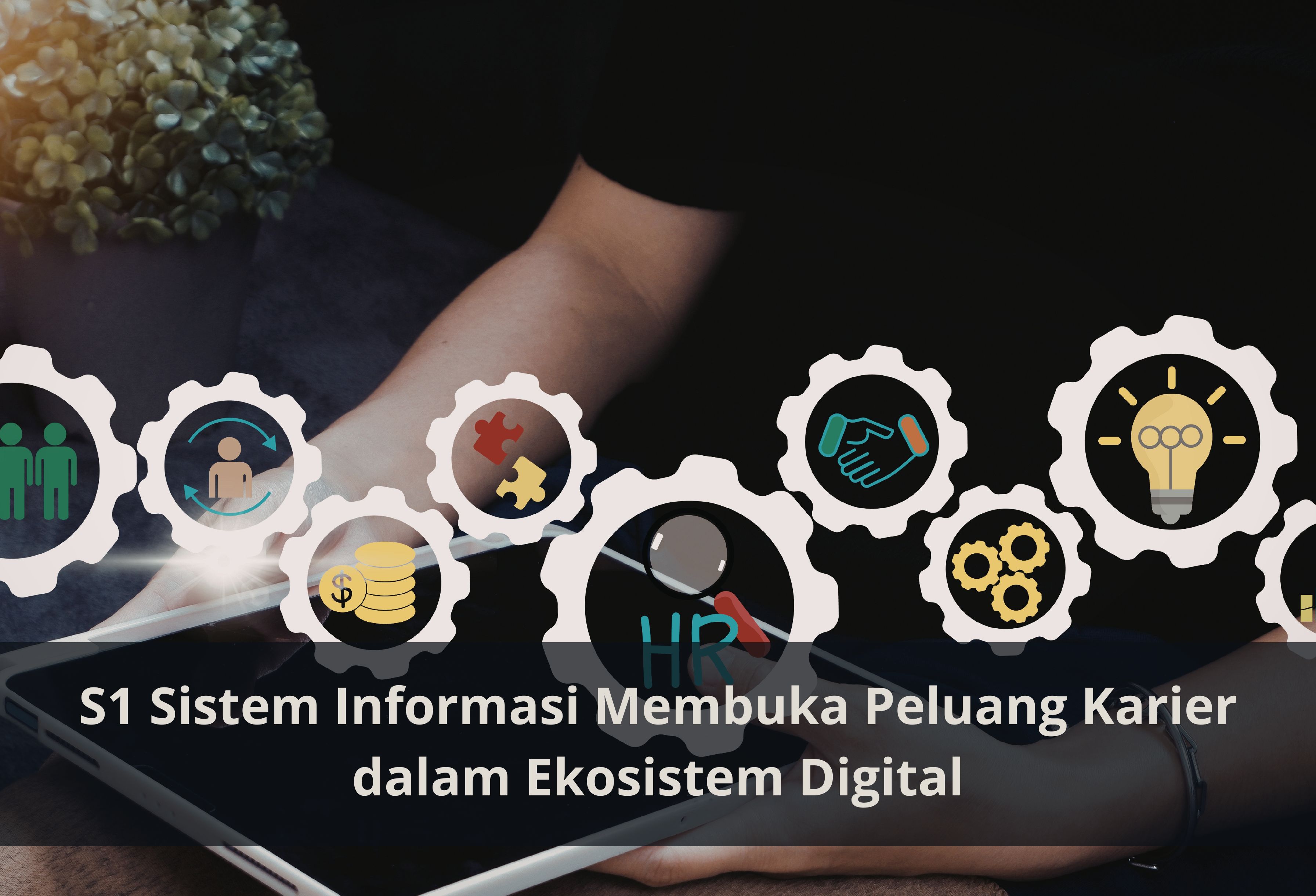S1 Sistem Informasi Membuka Peluang Karier dalam Ekosistem Digital