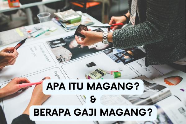 Apa Itu Magang? Berapa Gaji Magang?