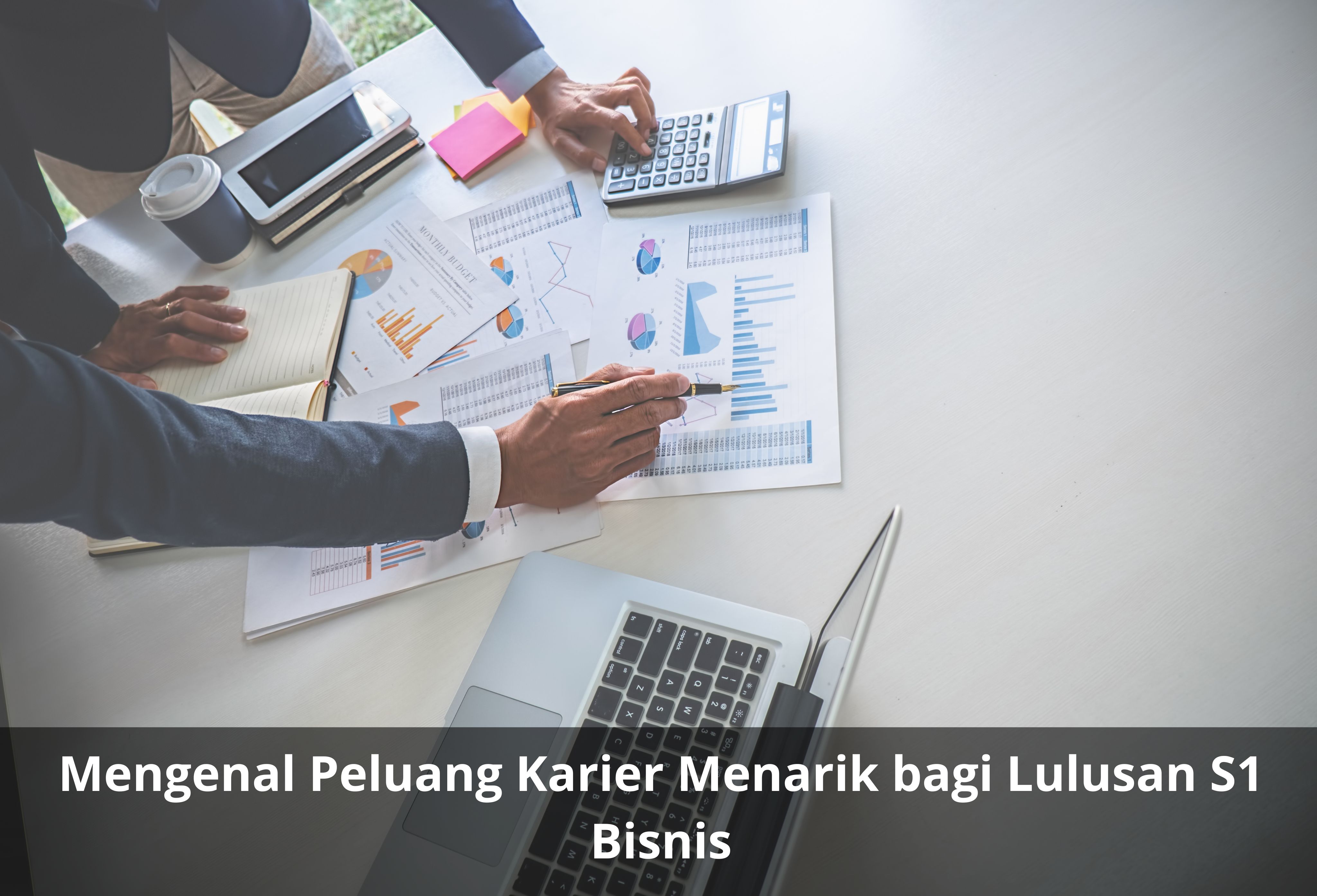 Mengenal Peluang Karier Menarik bagi Lulusan S1 Bisnis