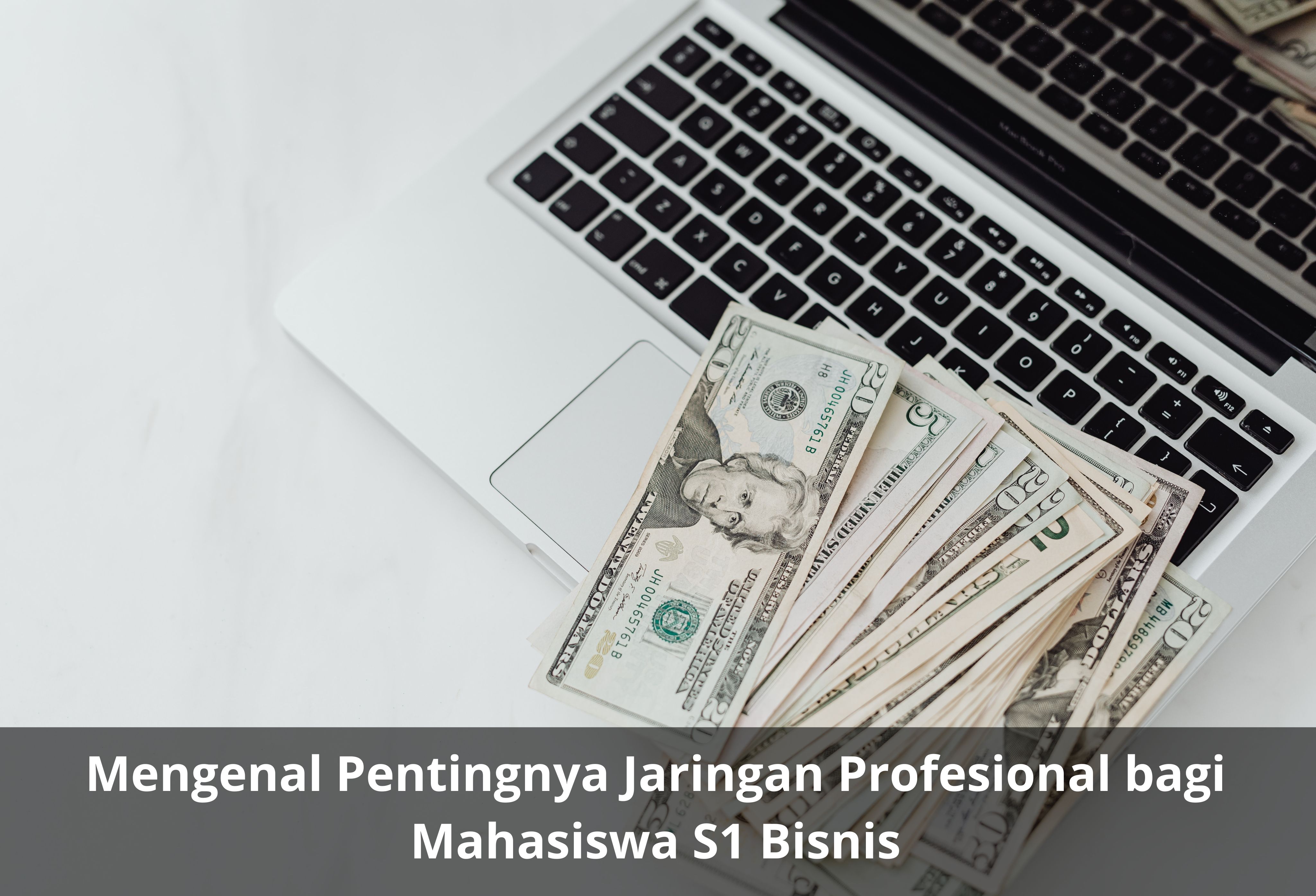 Mengenal Pentingnya Jaringan Profesional bagi Mahasiswa S1 Bisnis
