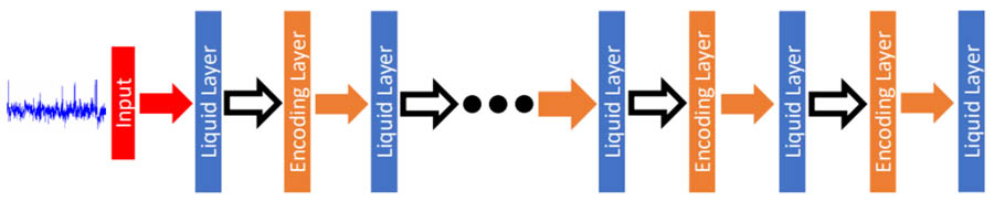 Liquid Neural Networks